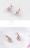 Loop Earring with Swarkovski Crystal