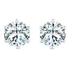 Pretty Silver Stud Earrings